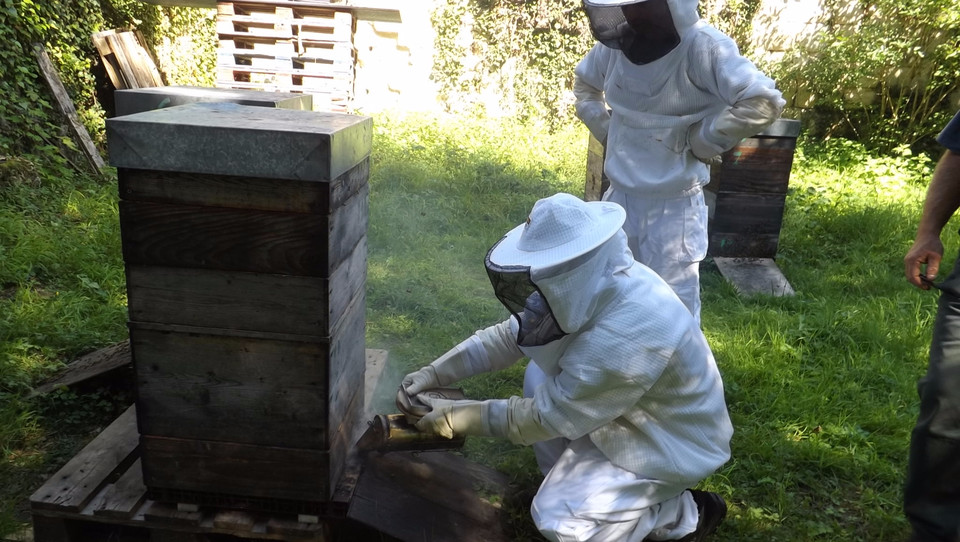 apiculture des ESAT de L'Arche avec des personnes handicapées mentales